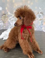 processed/5204c8dc-3d44-4c5d-996d-7cd5d5816dcd/listing/07636252-5bca-4ac1-84af-bbc30afb7087/509f9f70-0698-4c92-b751-d8ab3daf4a6e