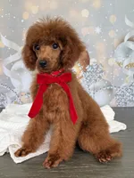 processed/5204c8dc-3d44-4c5d-996d-7cd5d5816dcd/listing/07636252-5bca-4ac1-84af-bbc30afb7087/cff381cb-d58b-46d7-98a2-0f998e2be801