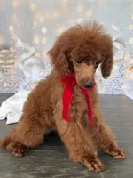 processed/5204c8dc-3d44-4c5d-996d-7cd5d5816dcd/listing/07636252-5bca-4ac1-84af-bbc30afb7087/ee769ef3-fe55-4e82-877f-2b0293fb083c