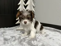 processed/520aa2cb-249d-4b2a-9753-6f6c267c25dd/listing/f3555b7d-2c96-4cf5-8475-159fa39d90bb/52d1654e-0ab9-47b7-ac39-e77d26757da6