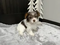 processed/520aa2cb-249d-4b2a-9753-6f6c267c25dd/listing/f3555b7d-2c96-4cf5-8475-159fa39d90bb/7b949086-6b3b-4a02-8e93-03a3b09650d0