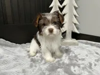 processed/520aa2cb-249d-4b2a-9753-6f6c267c25dd/listing/f3555b7d-2c96-4cf5-8475-159fa39d90bb/e81d8e58-7e82-4a08-9cee-567e556110bd