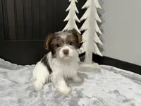 processed/520aa2cb-249d-4b2a-9753-6f6c267c25dd/listing/f3555b7d-2c96-4cf5-8475-159fa39d90bb/f410787c-956b-44cc-a2f7-8ddc4e4579b6