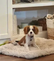 processed/520b3ae3-f69b-485e-843d-84ff536782ad/facility/29fee4fa-bcbb-432c-b31a-635e0428479f