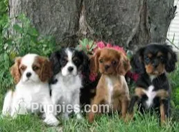 processed/520b3ae3-f69b-485e-843d-84ff536782ad/facility/456c8bf1-9b8a-4e5e-92f2-712641206879