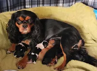 processed/520b3ae3-f69b-485e-843d-84ff536782ad/facility/59448565-dd1c-4d06-96de-160ef3731e16