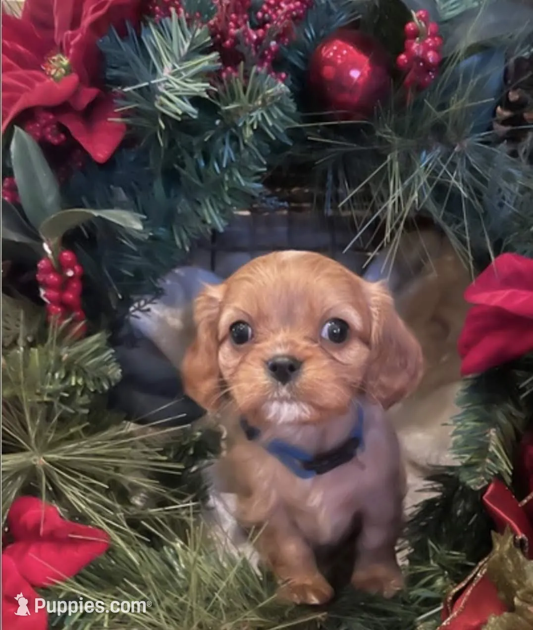 processed/520b3ae3-f69b-485e-843d-84ff536782ad/facility/a79e8058-c35f-477d-820e-5a689625034e