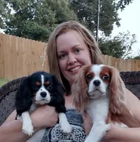 processed/520b3ae3-f69b-485e-843d-84ff536782ad/facility/c7e01558-1df6-4841-8d13-9fd6b5b2e79e