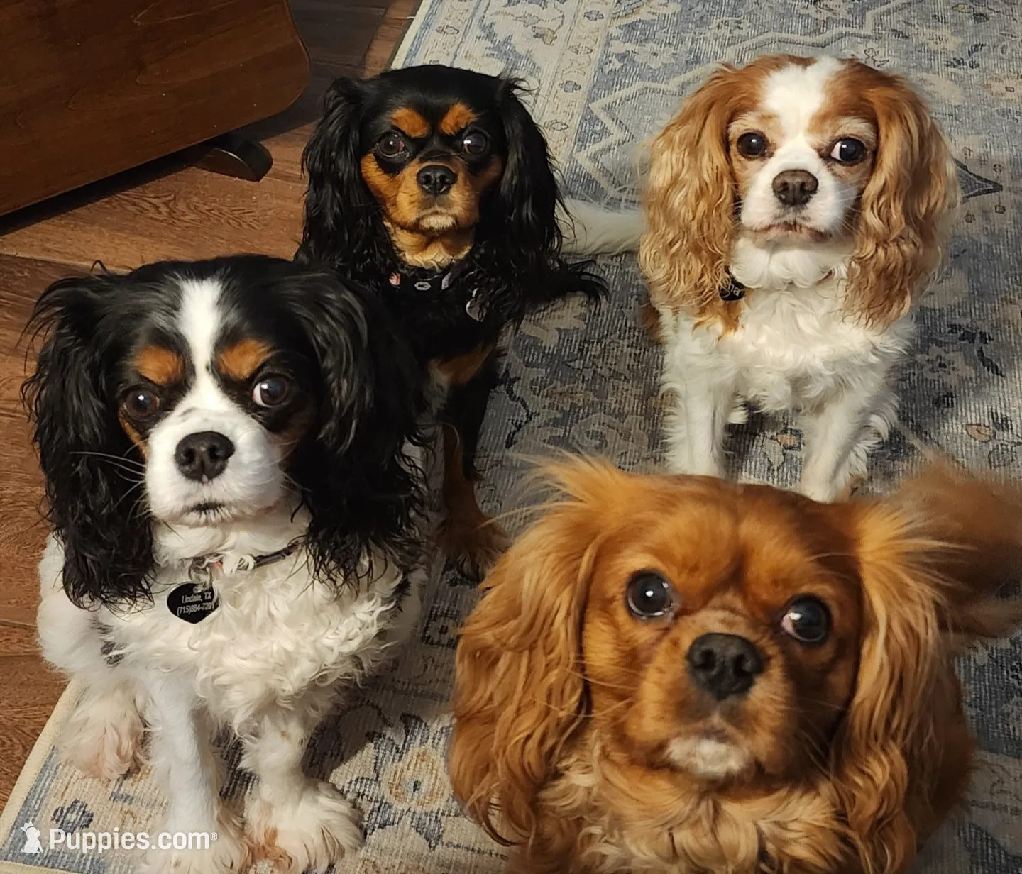 processed/520b3ae3-f69b-485e-843d-84ff536782ad/facility/e1627210-15cd-4143-983d-4f0e103b938e