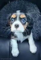 processed/520b3ae3-f69b-485e-843d-84ff536782ad/facility/ff42358a-4342-4de4-9e1e-13e5ea694504