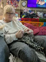 Tito, a male Chihuahua for sale in Greenwood, IN – 5 of 8
