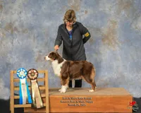 processed/52145292-0cae-4c28-8e96-a182684370fe/facility/43ca5221-fba7-4b07-95d1-92a07bfcf095