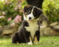 processed/52145292-0cae-4c28-8e96-a182684370fe/facility/68d8575a-5174-4e2f-9567-2388cd9eae86