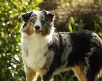 processed/52145292-0cae-4c28-8e96-a182684370fe/facility/6cb8a572-be4d-4cea-af23-eb8eb7708abb