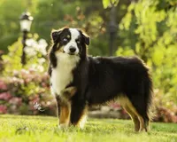 processed/52145292-0cae-4c28-8e96-a182684370fe/facility/967f22d1-d90a-467e-8dea-8d4891991382