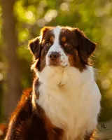 processed/52145292-0cae-4c28-8e96-a182684370fe/facility/bcf3b788-96d1-4eba-975b-a9eb067646b1