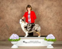 processed/52145292-0cae-4c28-8e96-a182684370fe/facility/e35cf091-bcd0-4151-8438-dacf30fddfa8