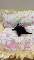 Zuri , a female Shih Tzu and Poodle - Toy  for sale in Marietta, GA – 3 of 4
