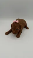 Nori, a female Poodle - Toy  for sale in Marietta, GA – 4 of 5