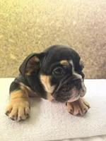 processed/5229b028-68fc-4de3-997d-8fd777b01d1e/listing/2196ef41-c38a-4ff1-b9f7-a66666242cd5/0f077be3-4b45-4853-ae2b-567595021d0a