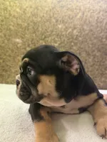 processed/5229b028-68fc-4de3-997d-8fd777b01d1e/listing/2196ef41-c38a-4ff1-b9f7-a66666242cd5/2ec84e2b-a5e8-484c-b864-16d78f2b4205