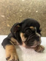 processed/5229b028-68fc-4de3-997d-8fd777b01d1e/listing/2196ef41-c38a-4ff1-b9f7-a66666242cd5/f49f8c48-013a-41f7-8695-f1ce53fa6fdd