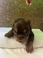 processed/5229b028-68fc-4de3-997d-8fd777b01d1e/listing/668d25af-3c78-4c49-b063-9c28bcca9de7/91b052f1-04e9-4e31-9beb-19bbdbdc64d8