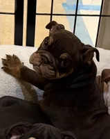 processed/5229b028-68fc-4de3-997d-8fd777b01d1e/listing/668d25af-3c78-4c49-b063-9c28bcca9de7/a17c00da-09a4-43ca-882c-6763e34d775b