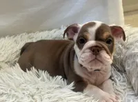 processed/5229b028-68fc-4de3-997d-8fd777b01d1e/listing/d039b36a-2201-447f-b6d5-ed7590b2dc3e/b2529aee-6509-4325-a145-6b3e7a7f4803