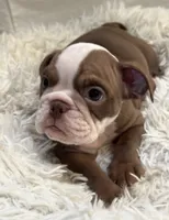 processed/5229b028-68fc-4de3-997d-8fd777b01d1e/listing/d4fcf5ff-8fd2-41c0-9430-ca19df80e1f0/508855ae-bf78-495f-b9ff-9ae9dc1088cb