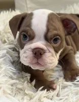 processed/5229b028-68fc-4de3-997d-8fd777b01d1e/listing/d4fcf5ff-8fd2-41c0-9430-ca19df80e1f0/f901c31a-322b-4a8c-9f0c-fe459a1d42ee