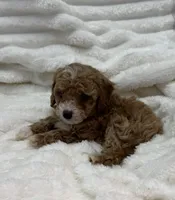 processed/522fd044-70b3-4ba0-95f0-c629bfa83259/listing/2ce569aa-fe24-4da1-89ed-0f14f286513b/2cc9f4d2-d897-456e-80cd-0c9bf9e376c4