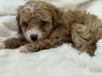 processed/522fd044-70b3-4ba0-95f0-c629bfa83259/listing/2ce569aa-fe24-4da1-89ed-0f14f286513b/750b98ec-c6fb-4c16-b7e5-61b5d588c641