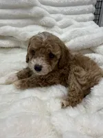 processed/522fd044-70b3-4ba0-95f0-c629bfa83259/listing/2ce569aa-fe24-4da1-89ed-0f14f286513b/ecef8a55-7687-4470-a967-8185d475076c