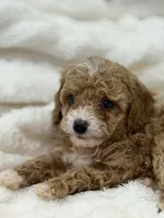 processed/522fd044-70b3-4ba0-95f0-c629bfa83259/listing/2ce569aa-fe24-4da1-89ed-0f14f286513b/ee71f9c7-2c05-46ce-9e9a-b8306a3cc088