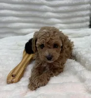 processed/522fd044-70b3-4ba0-95f0-c629bfa83259/listing/5ce2f0e2-53d8-4ee0-8b90-75a4b9a2efa6/26e3b75d-c03c-4d22-b664-f6c52b2cacff