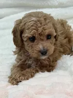 processed/522fd044-70b3-4ba0-95f0-c629bfa83259/listing/5ce2f0e2-53d8-4ee0-8b90-75a4b9a2efa6/7261eabd-b88a-4150-bfba-a51bcdc4cbb2