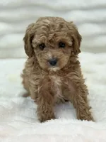 processed/522fd044-70b3-4ba0-95f0-c629bfa83259/listing/5ce2f0e2-53d8-4ee0-8b90-75a4b9a2efa6/af3859df-1935-46fa-b359-964b97204469