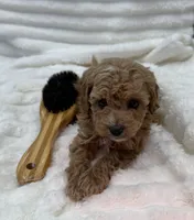 processed/522fd044-70b3-4ba0-95f0-c629bfa83259/listing/5ce2f0e2-53d8-4ee0-8b90-75a4b9a2efa6/de2d8094-94ea-4e69-a414-9b5be52b1966