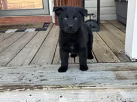 processed/5230eb36-4469-4307-b4c7-3bde41570da2/listing/7e6bd75d-6c21-4302-9dbe-f492dcd99c17/164ace62-08a0-4ca4-af95-fcedf8760554