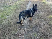 processed/5230eb36-4469-4307-b4c7-3bde41570da2/listing/7e6bd75d-6c21-4302-9dbe-f492dcd99c17/2fea28fa-3b9d-49ca-9e7a-4ded527f50a0