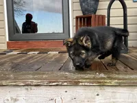 processed/5230eb36-4469-4307-b4c7-3bde41570da2/listing/a01fbbde-a6fd-4b37-b1d9-a85330e37555/09037509-3a97-43b1-b123-9177fe7fe149