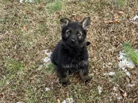 processed/5230eb36-4469-4307-b4c7-3bde41570da2/listing/a01fbbde-a6fd-4b37-b1d9-a85330e37555/579db7cc-707d-4fec-82bd-31a04471c1bd