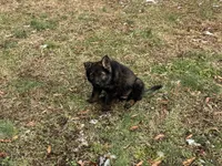 processed/5230eb36-4469-4307-b4c7-3bde41570da2/listing/a01fbbde-a6fd-4b37-b1d9-a85330e37555/5e357410-82db-46e3-9c6f-443c2025aad4