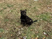 processed/5230eb36-4469-4307-b4c7-3bde41570da2/listing/a01fbbde-a6fd-4b37-b1d9-a85330e37555/74b96c7f-4513-4e06-be0d-9f5c9a53fa3c