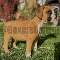 processed/5235e637-9c74-4a6f-a519-5eb11f03f43f/listing/33103eec-8ea1-4258-a6c7-c1aa29e24fa4/25dabfab-adee-4c84-80ef-a4f36c54cb1d