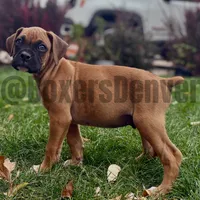 processed/5235e637-9c74-4a6f-a519-5eb11f03f43f/listing/33103eec-8ea1-4258-a6c7-c1aa29e24fa4/7ff3851a-cbe5-4cb3-b427-ec44a0e97275