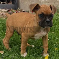 processed/5235e637-9c74-4a6f-a519-5eb11f03f43f/listing/33103eec-8ea1-4258-a6c7-c1aa29e24fa4/ade88f6f-74e6-43ac-840e-7236fbcba41c