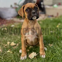 processed/5235e637-9c74-4a6f-a519-5eb11f03f43f/listing/33103eec-8ea1-4258-a6c7-c1aa29e24fa4/d17ca8f5-e6aa-452c-bfa4-516cd3de51ad