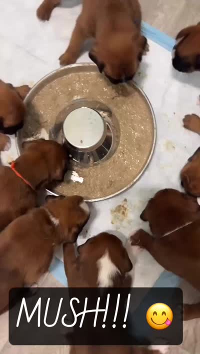 Facility video